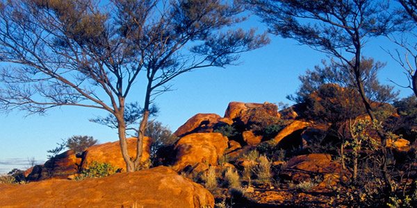 Meekatharra flights